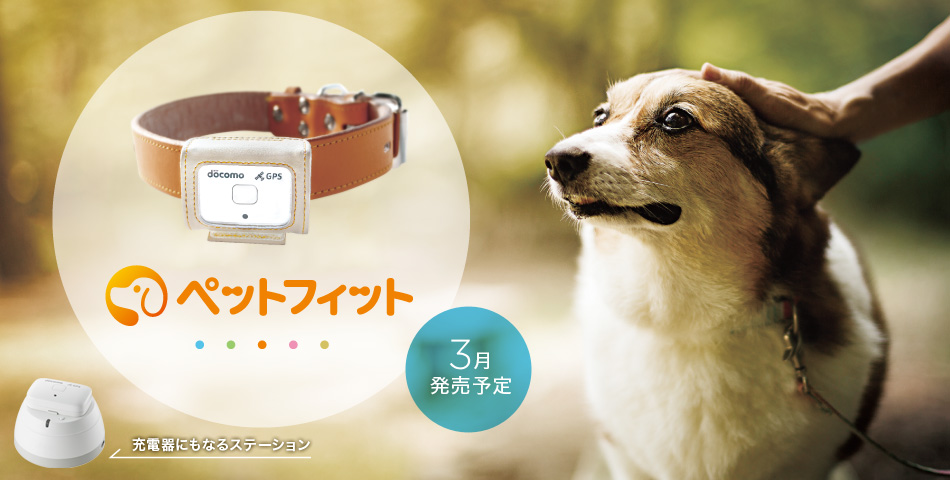 愛犬の状態や居場所が確認できる「ペットフィット」が提供終了になる。