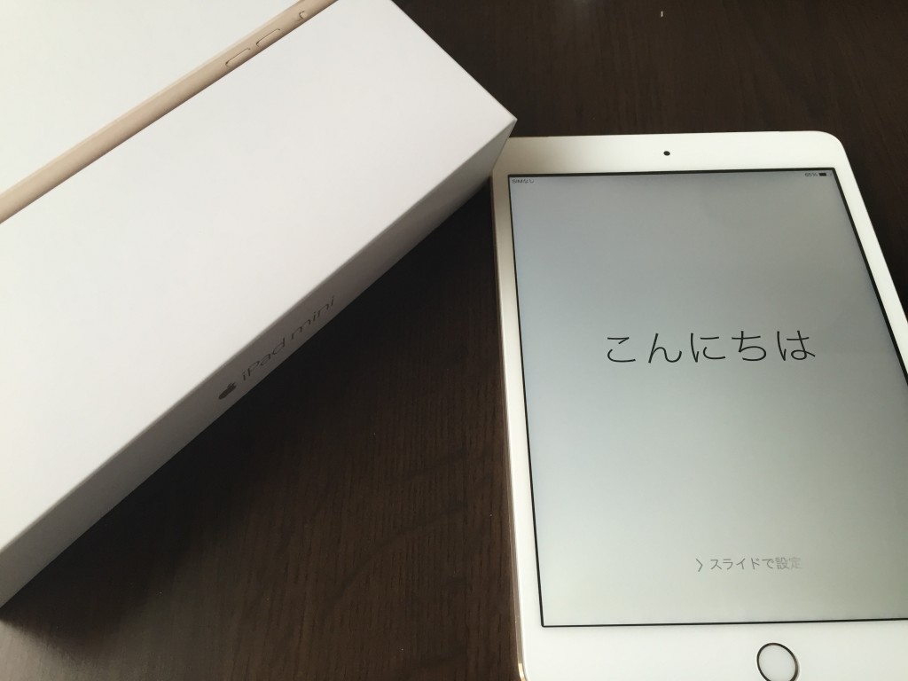 iPad mini3