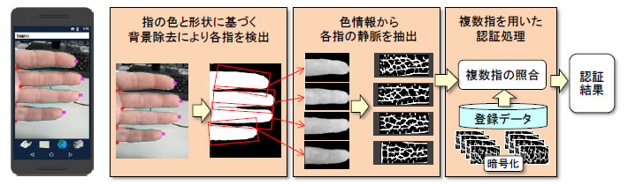 指静脈認証