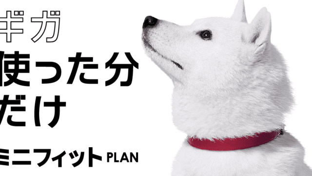 ミニフィットプラン